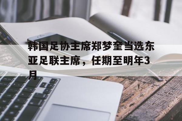 博鱼体育平台-韩国足协主席郑梦奎当选东亚足联主席，任期至明年3月的简单介绍